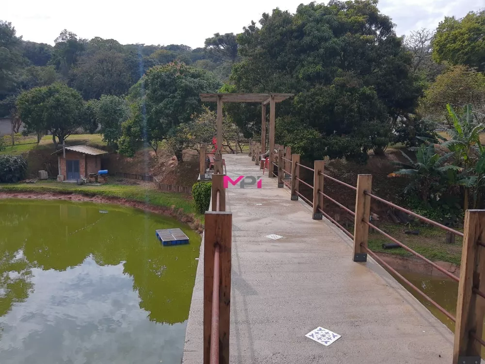 Fazenda à venda com 4 quartos, 600m² - Foto 2