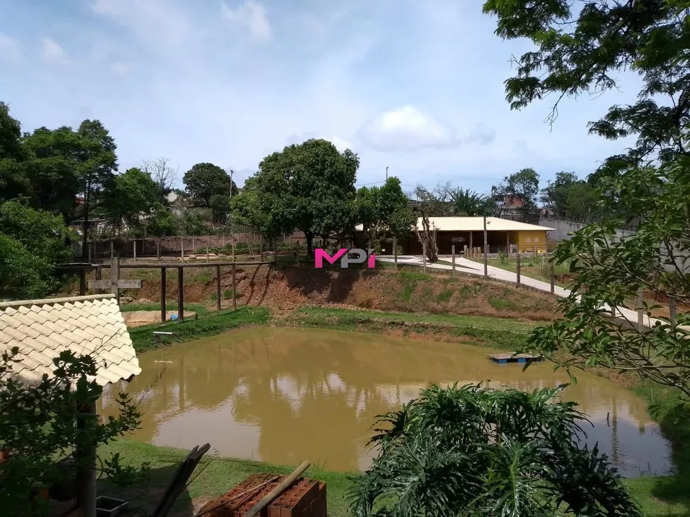 Fazenda à venda com 4 quartos, 600m² - Foto 3