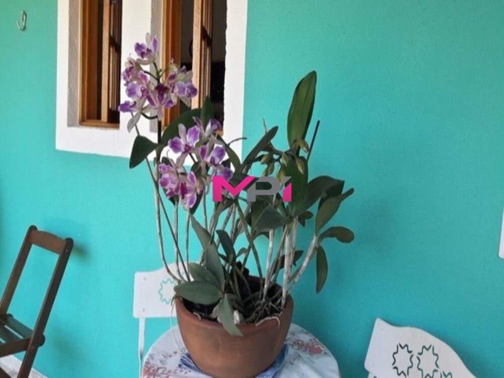 Casa, 3 quartos, 120 m² - Foto 5