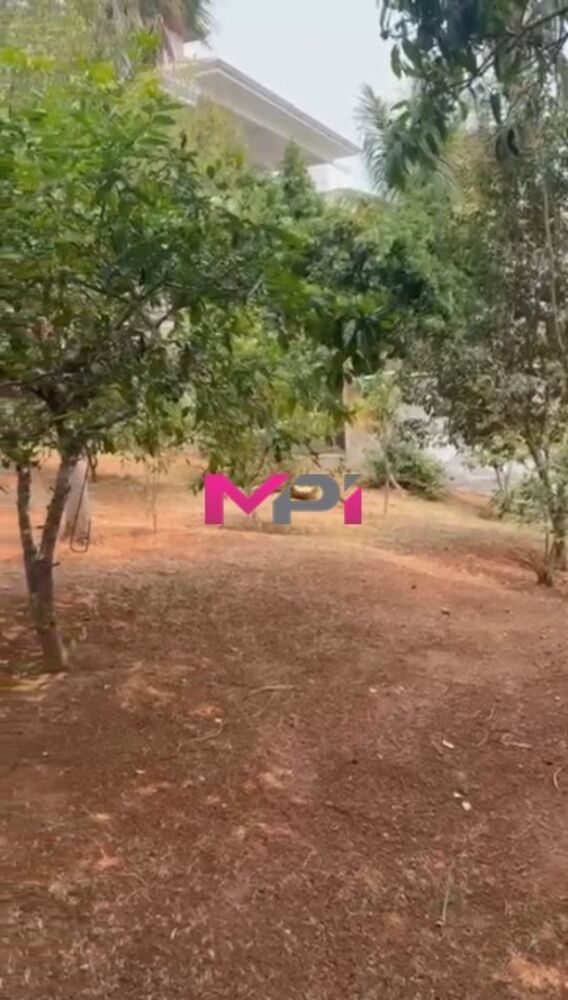 Terreno à venda, 800m² - Foto 1