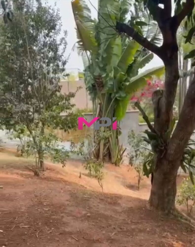 Terreno à venda, 800m² - Foto 3