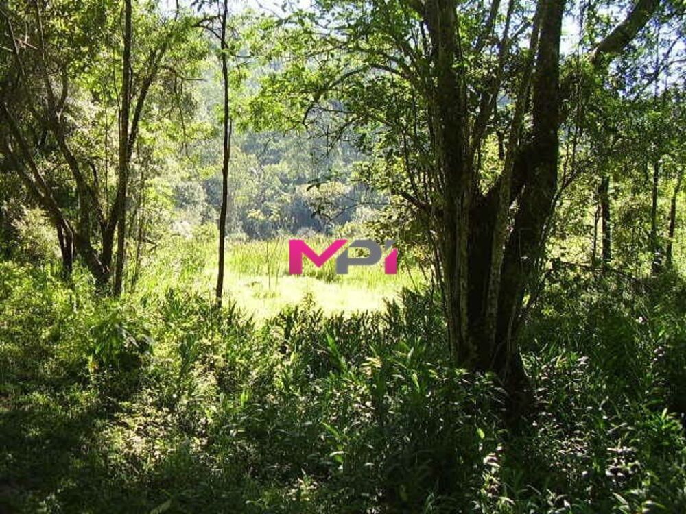 Sítio à venda com 2 quartos, 500m² - Foto 3