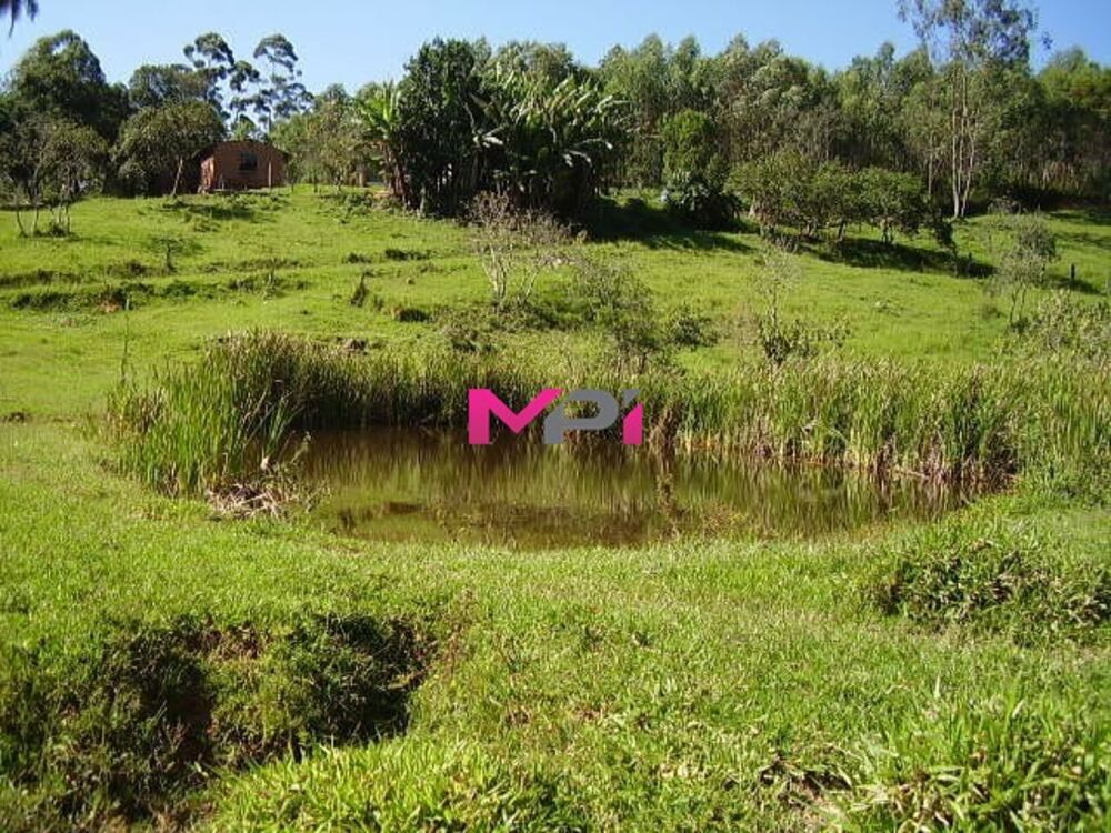 Sítio à venda com 2 quartos, 500m² - Foto 8