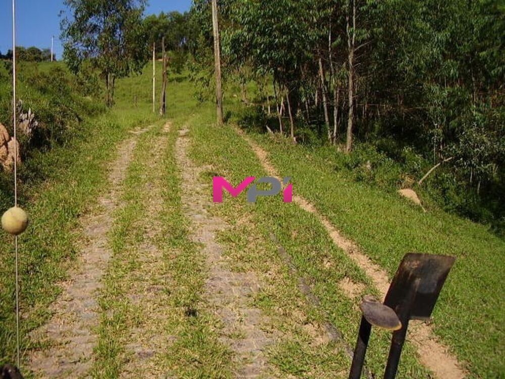 Sítio à venda com 2 quartos, 500m² - Foto 4