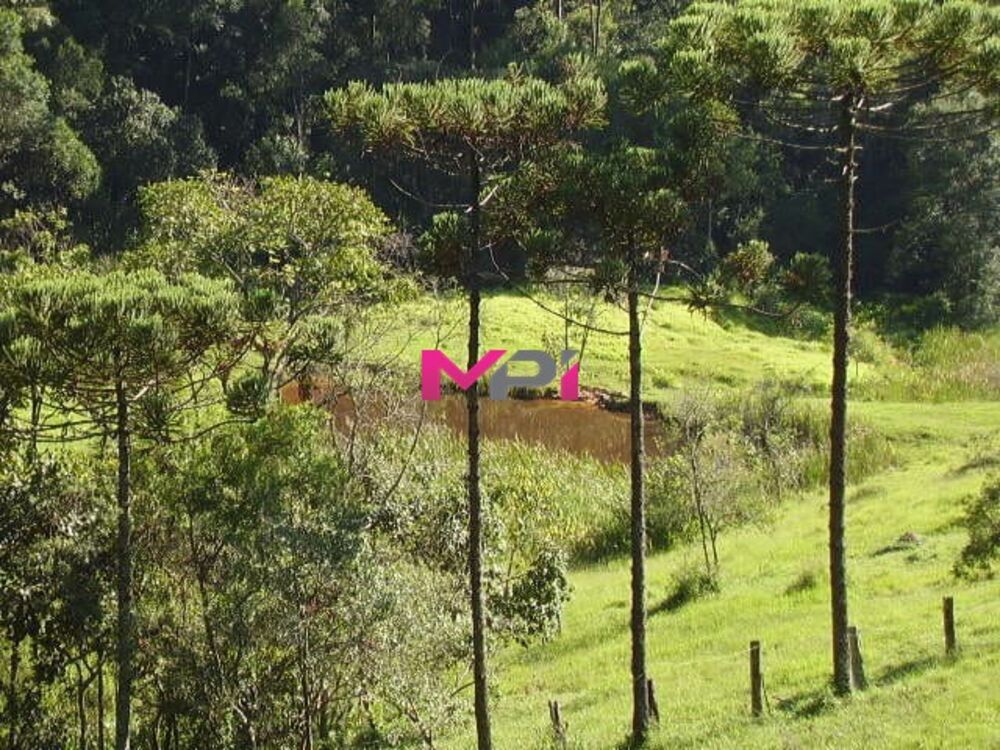 Sítio à venda com 2 quartos, 500m² - Foto 5