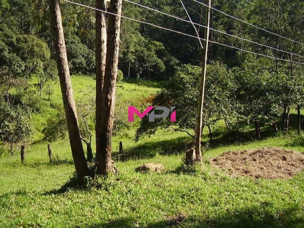 Sítio à venda com 2 quartos, 500m² - Foto 6