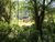 Sítio, 2 quartos, 8 hectares - Foto 3