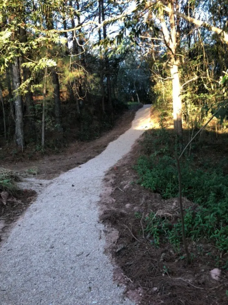 Terreno, 1050 m² - Foto 6