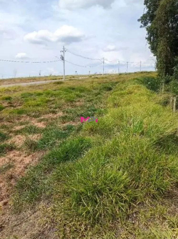 Terreno, 250 m² - Foto 4