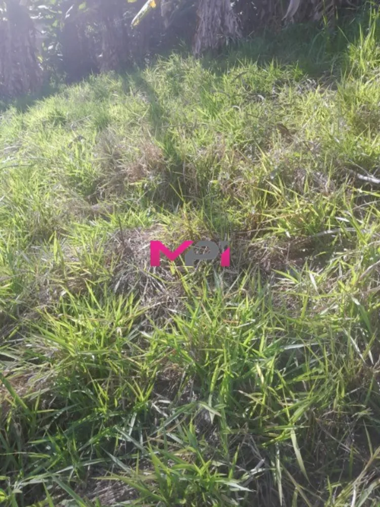 Terreno, 250 m² - Foto 4