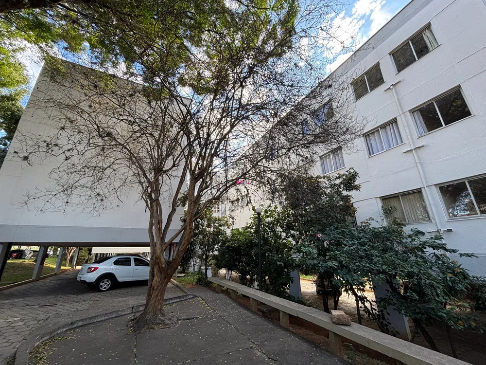 Apartamento, 3 quartos, 60 m² - Foto 11