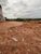 Terreno, 305 m² - Foto 3