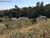 Terreno, 1200 m² - Foto 3