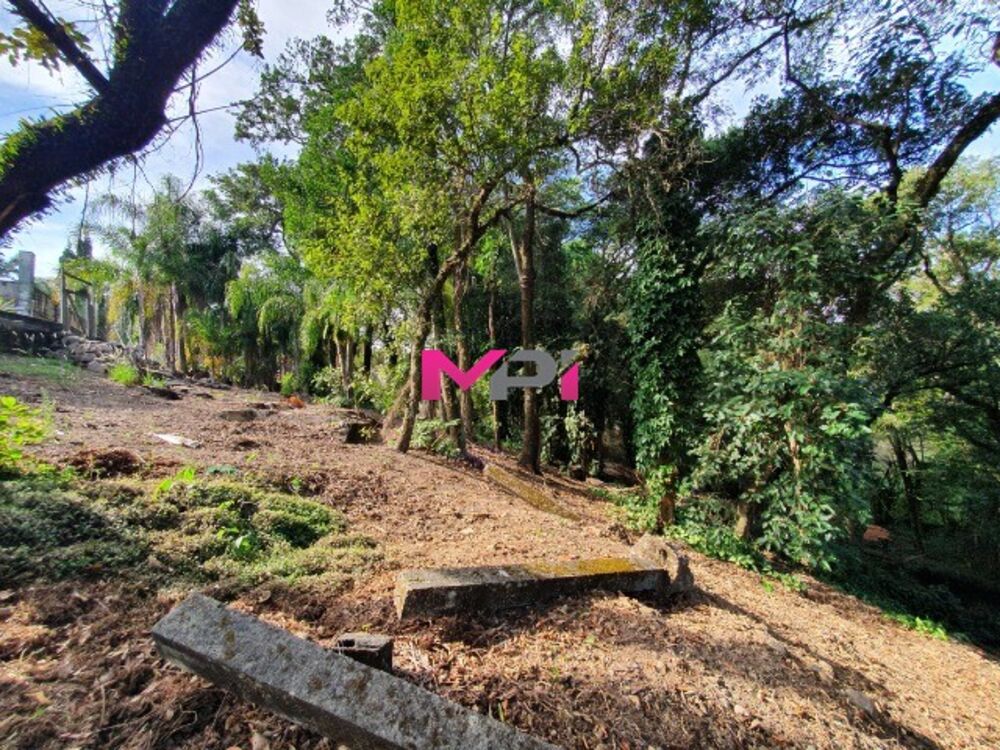 Casa de Condomínio à venda com 4 quartos, 600m² - Foto 3