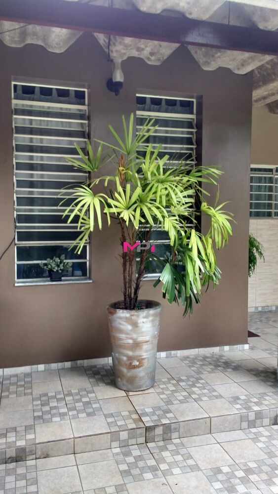 Chácara, 3 quartos, 1840 m² - Foto 15