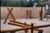 Apartamento, 2 quartos, 65 m² - Foto 12