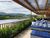 Terreno, 839 m² - Foto 3