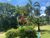 Sítio, 5 quartos, 2 hectares - Foto 4