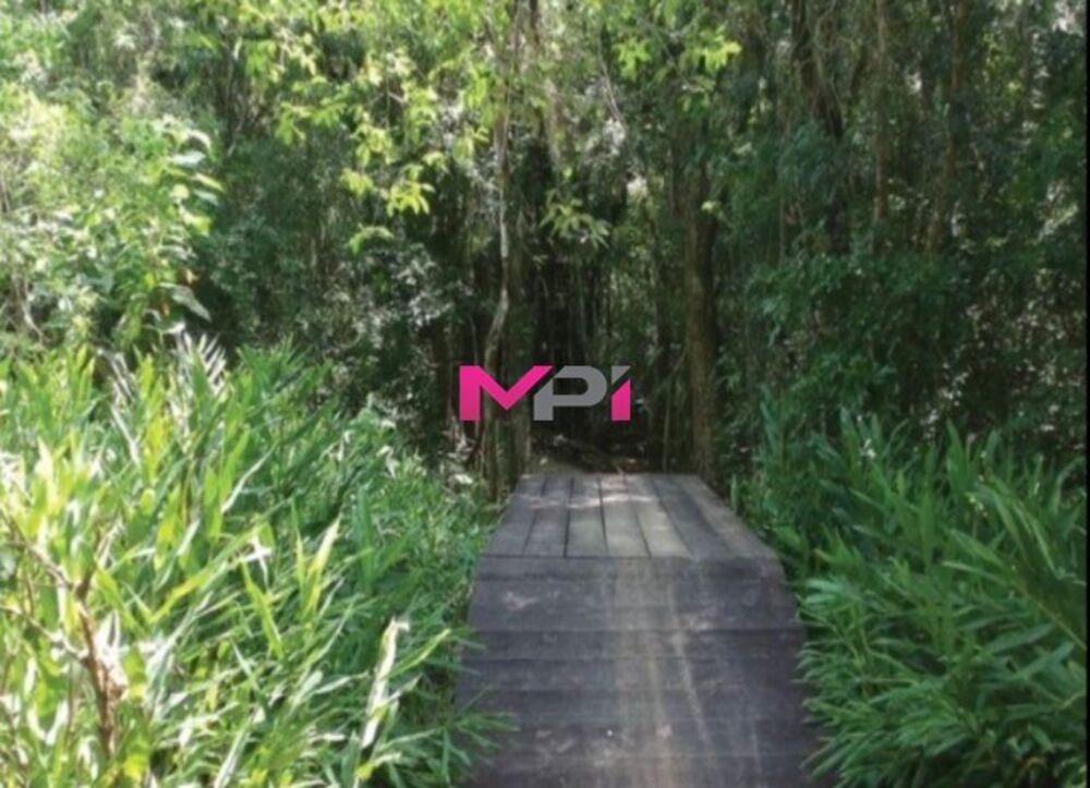 Terreno, 374 m² - Foto 6