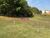 Terreno, 458 m² - Foto 4