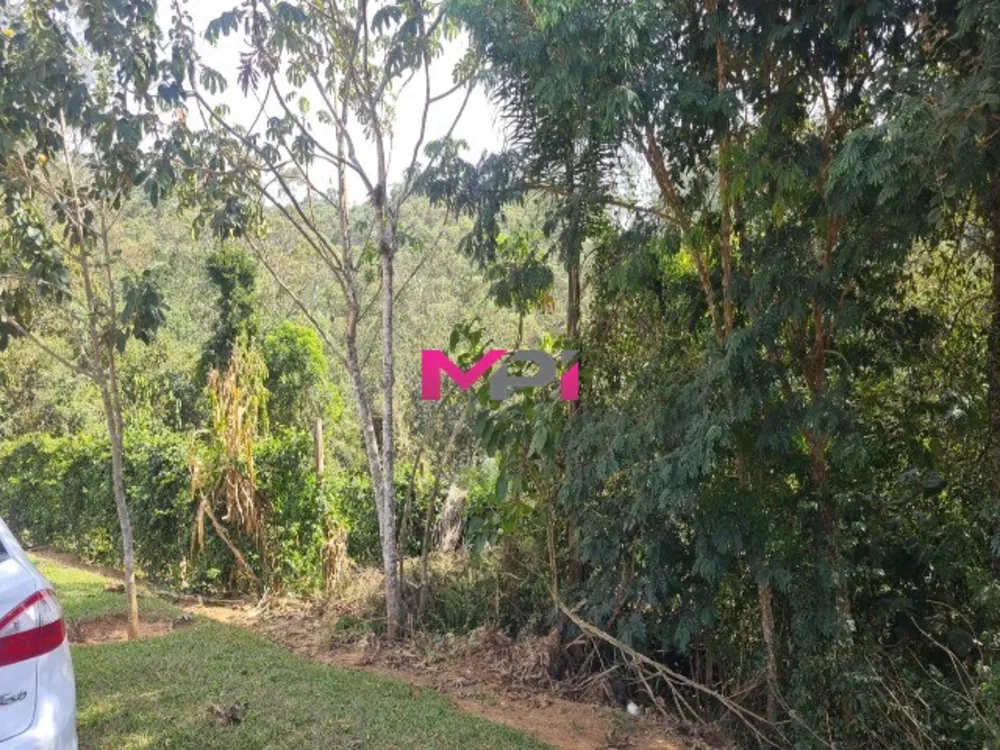 Terreno, 4000 m² - Foto 3