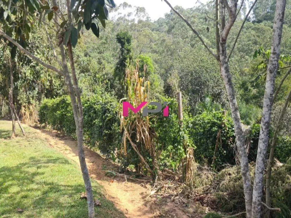 Terreno, 4000 m² - Foto 1