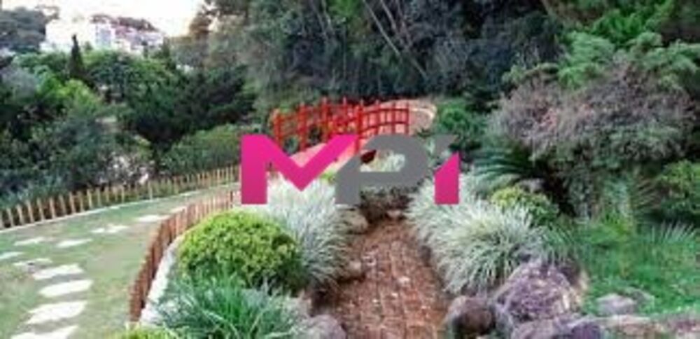 Terreno, 350 m² - Foto 4