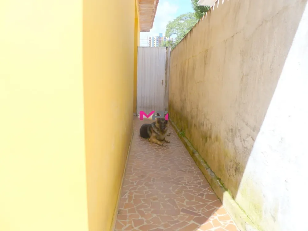 Casa, 3 quartos, 180 m² - Foto 12