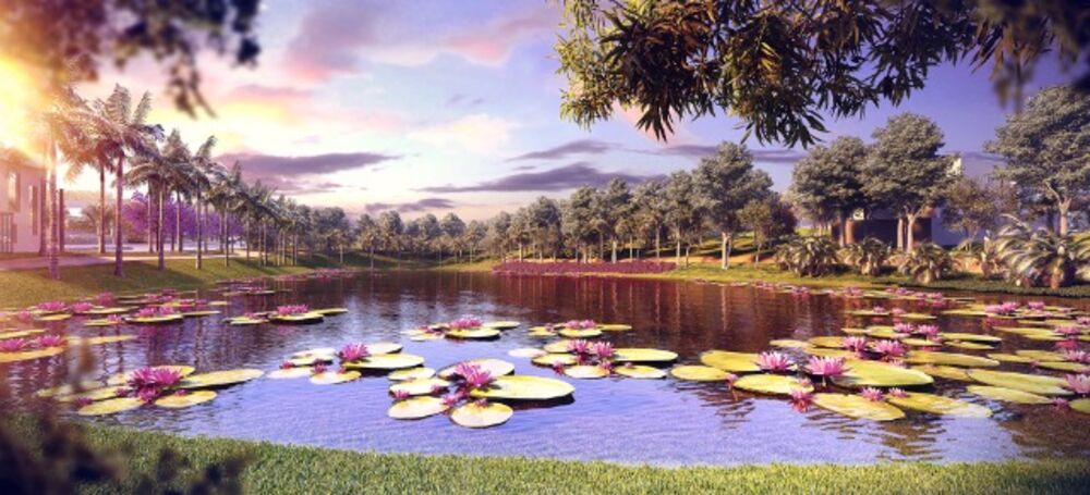 Terreno, 333 m² - Foto 7