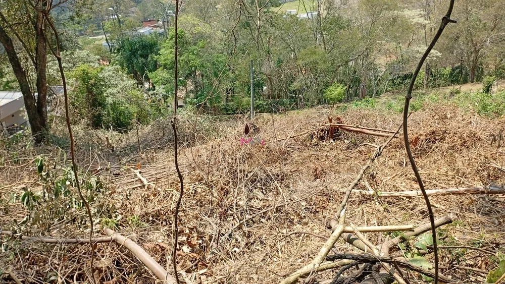Terreno, 655 m² - Foto 5