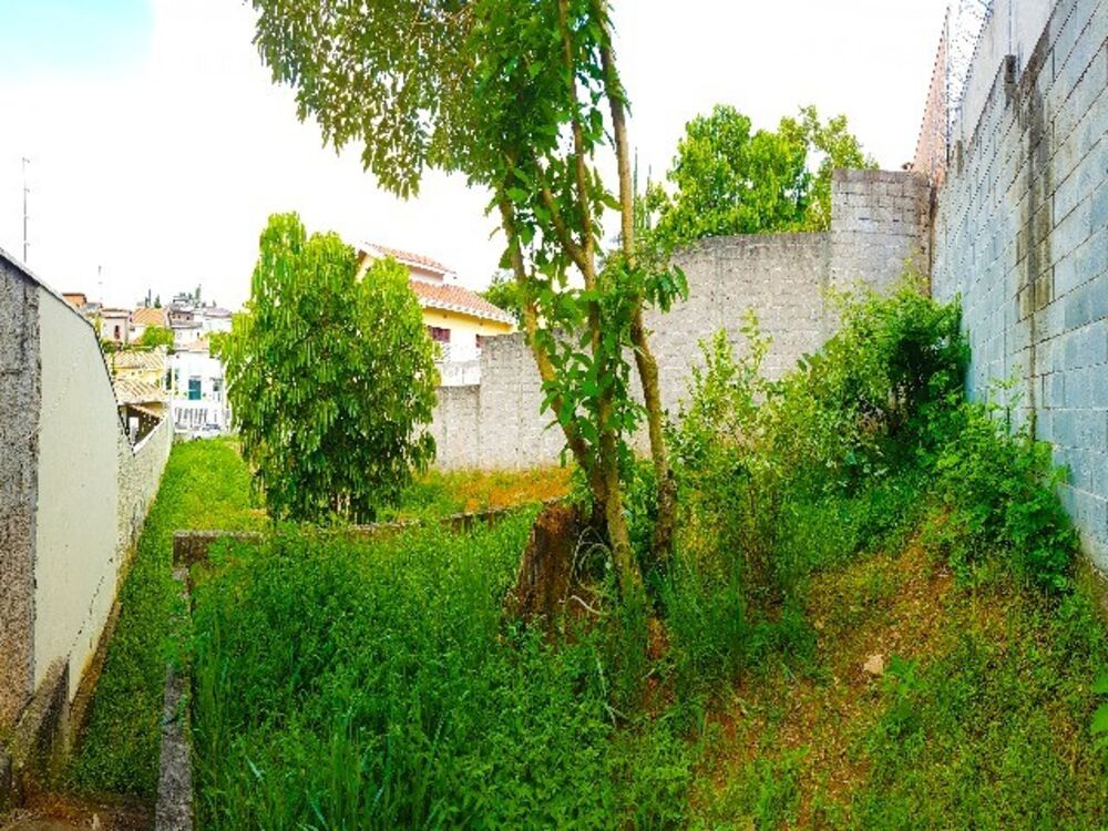 Terreno, 600 m² - Foto 3
