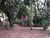 Terreno, 1500 m² - Foto 3