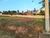 Terreno, 1050 m² - Foto 4