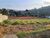 Terreno, 1050 m² - Foto 2