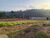 Terreno, 1050 m² - Foto 10