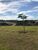 Terreno, 872 m² - Foto 7
