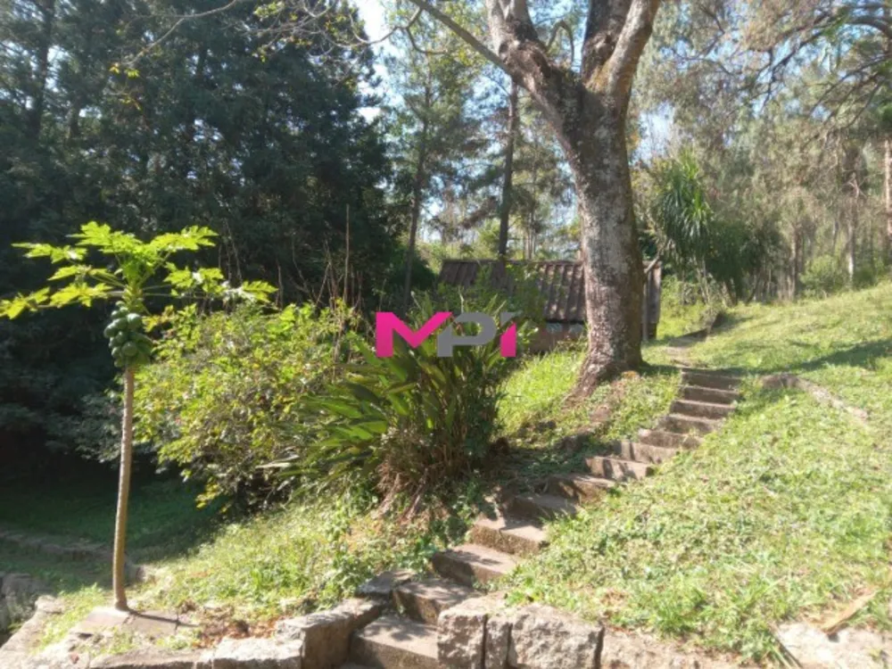 Sítio, 3 quartos, 10 hectares - Foto 2