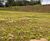 Terreno, 809 m² - Foto 8