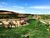 Terreno, 588 m² - Foto 12