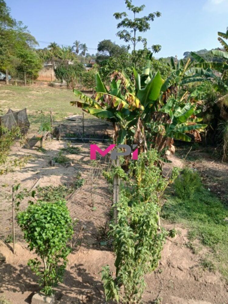 Chácara, 2 quartos, 2772 m² - Foto 8