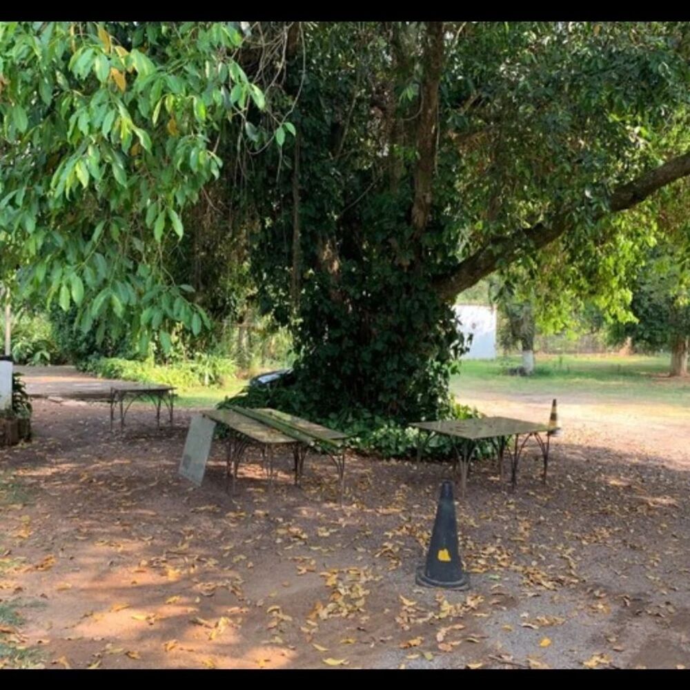 Terreno, 18750 hectares - Foto 3