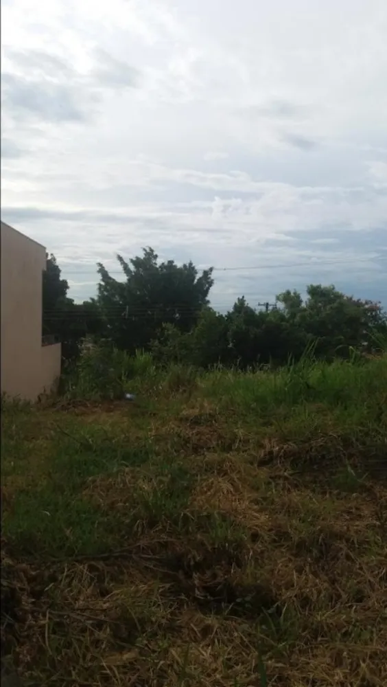 Terreno, 290 m² - Foto 1