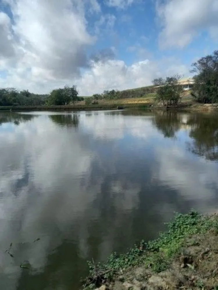 Sítio, 4 quartos, 2 hectares - Foto 6