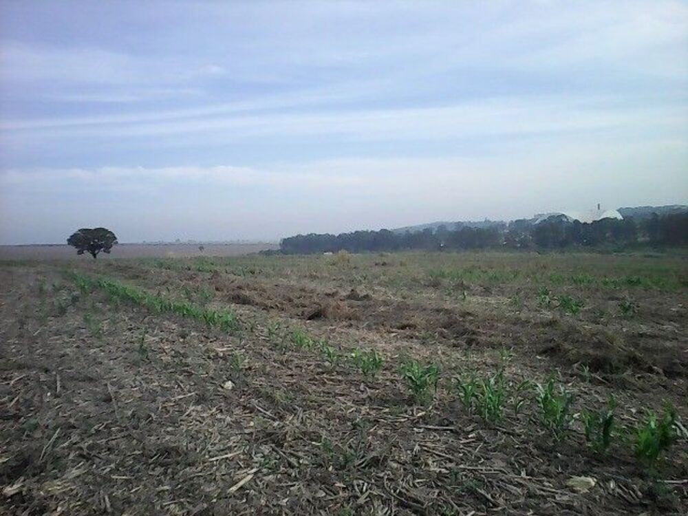 Terreno, 15 hectares - Foto 7