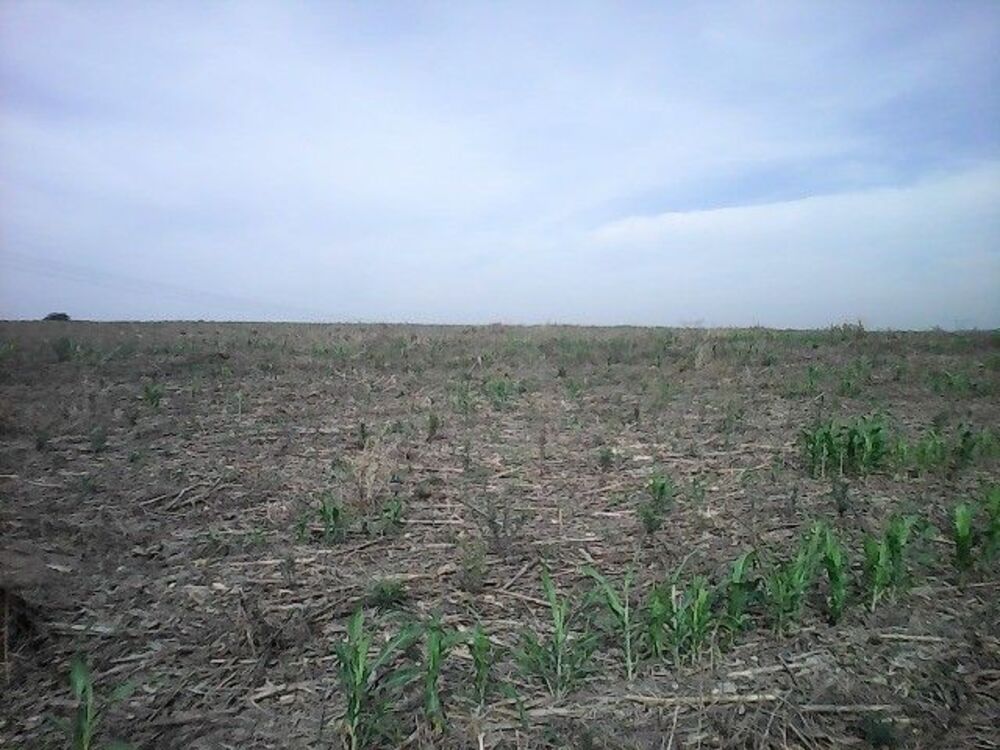 Terreno, 15 hectares - Foto 3