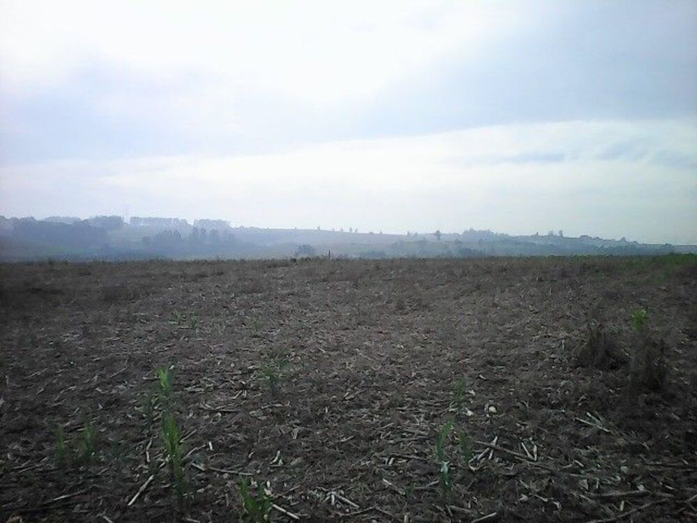 Terreno, 15 hectares - Foto 5