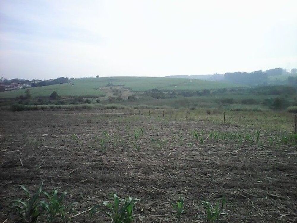 Terreno, 15 hectares - Foto 6