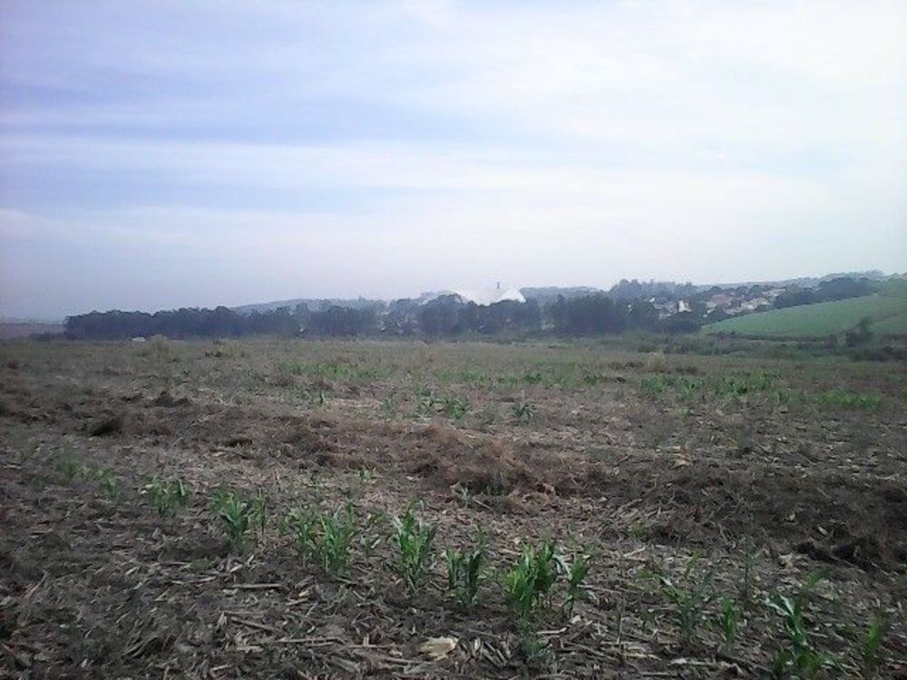 Terreno, 15 hectares - Foto 4