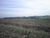 Terreno, 15 hectares - Foto 4