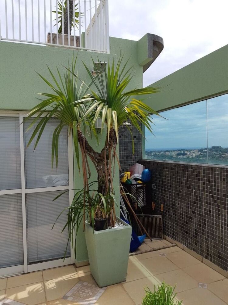 Cobertura, 3 quartos, 190 m² - Foto 5